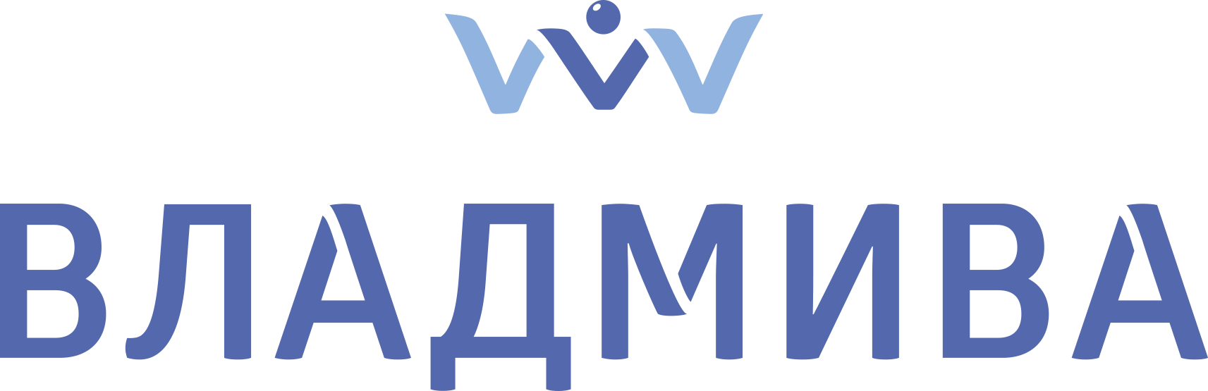 ВладМиВа
